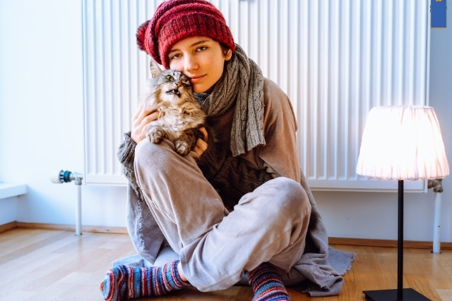 Preisvergleich Gastarife 02