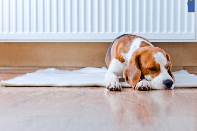 Preisvergleich Gastarife 03